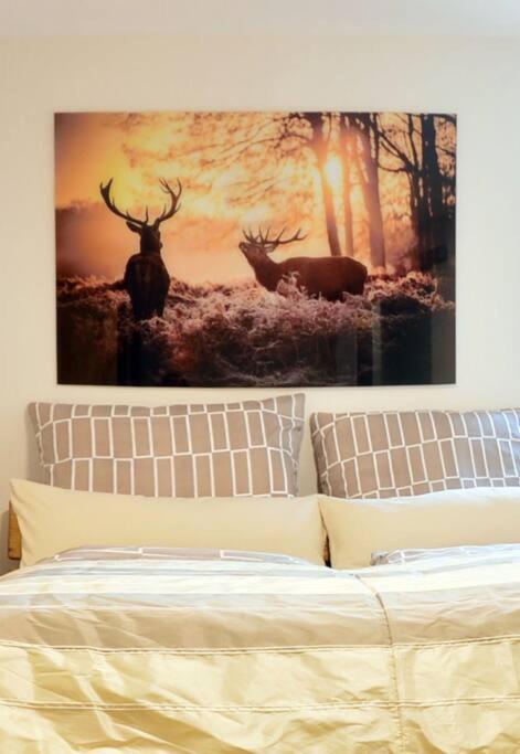 Ferienwohnung Ivanka Mit Garten Schliersee Extérieur photo